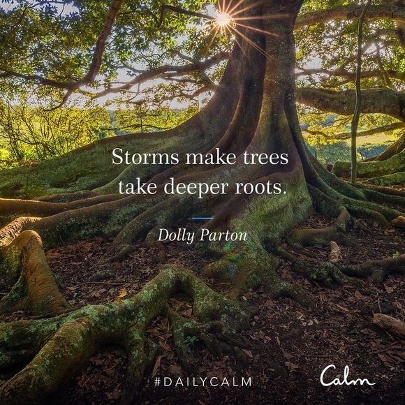 🌸new stuff soon!!!🌸 - Picture 16 of 16